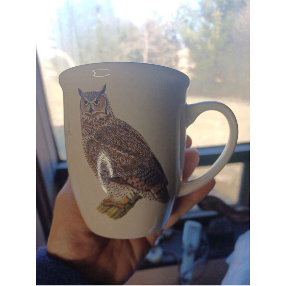 CJ Wildlife MUG Great Horned Owl & Chipmunk Has Mouse Inside! Tea Coffee Cup 4"
